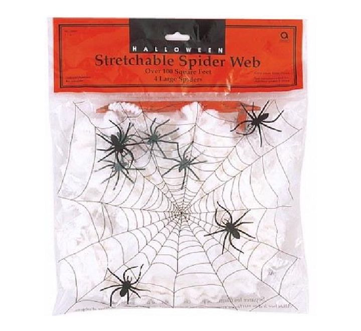 Spider Web With 4 Small Spiders